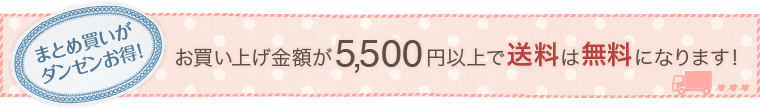 まとめ買いがダンゼンお得!お買い上げ金額が5,000円以上で送料は無料になります!